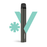 Veeba disposable vape device blue mint
