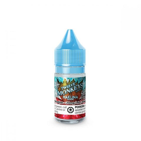 twelve monkeys ice age hakuna ice salt e-liquid